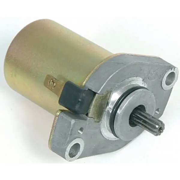 Motorrad Anlassermotor f. Adly/Atala/Aprilia/Benelli/Beta/CPI.. 246390020 Roller