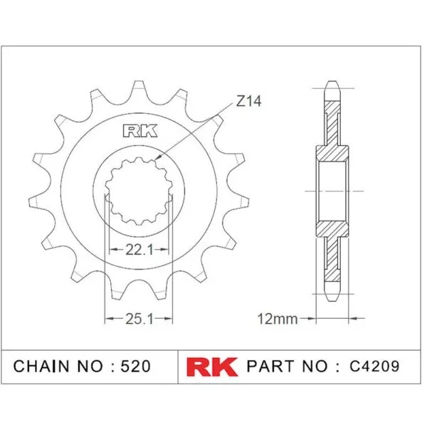 RK Antriebsritzel 4209 520 13Z. f. Gas Gas EC 9555387615015