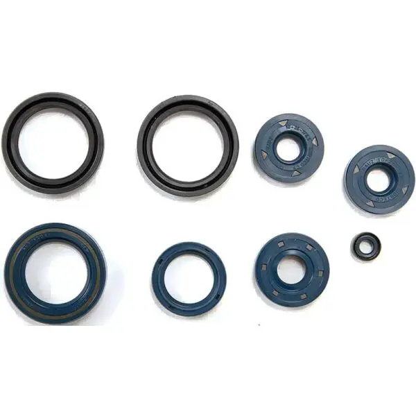 Athena Motorsimmerringsatz 125 SINTESI ROTAX NR0649964362238 0649964362238