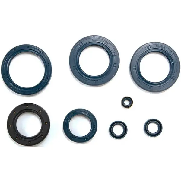 Athena Motorsimmerringsatz 350/600 TUAREG NR0649964362214 8052204231492