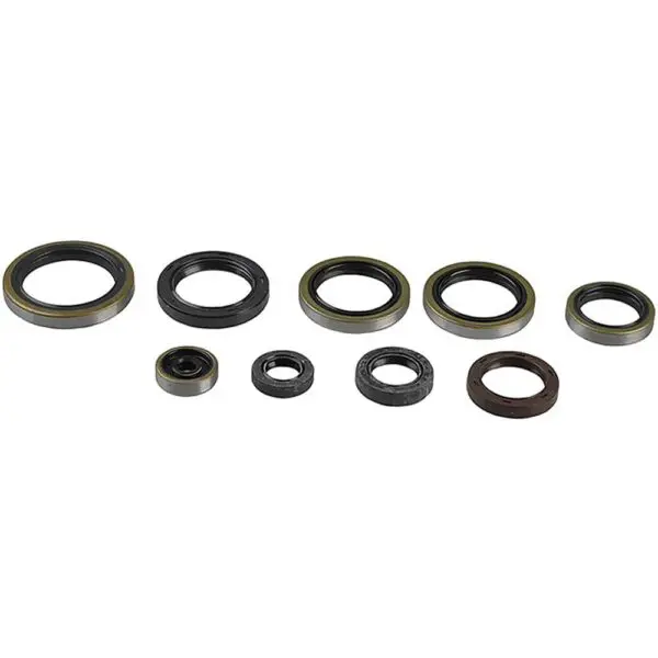 Athena Motorsimmerringsatz SX 250/300 MXC/250-300EXC
