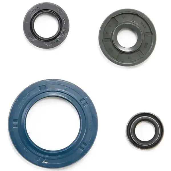 Athena Motorsimmerringsatz 950-990 ADVENTURE, 02-09