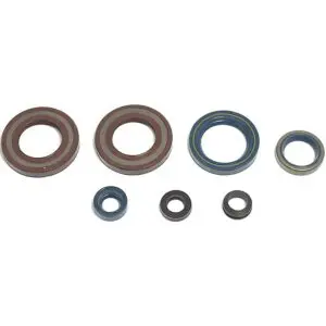 Athena Motorsimmerringsatz 600 LC4, 87-94 NR0649964361620 8055681306431