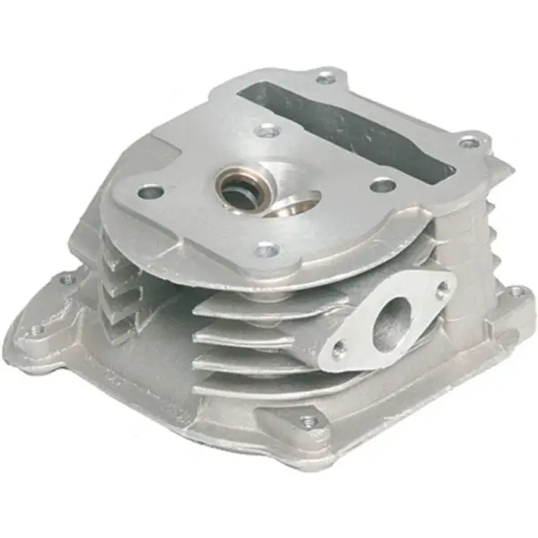 Motorrad Zylinderkopf Std + Ventilen mit Abgasrückführung BT13851 4250362412638