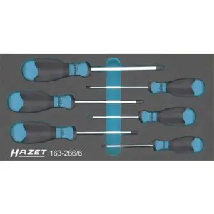 Hazet Werkzeugsatz In Einlage Schraubendr 6teilig Hazet 163-266/6 4000896180615