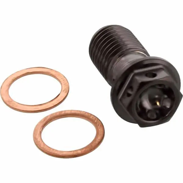 Pro Bolt Hohlschraube einfach V4A Racing M10x1.25 Ducati Hypermotard 1100S sz