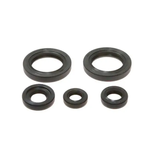 Athena Wellendichtring Satz passend zu KTM Duke 125 uvm. Motorrad