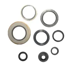 Athena Wellendichtring Satz f. Suzuki RM 250 uvm. 8055681306516 Motorrad