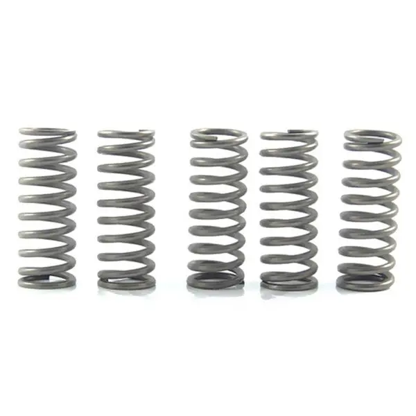 Kupplungsfedern Satz Verstärkt INH5 Kawasaki KX 125 M CSK097 Motorrad