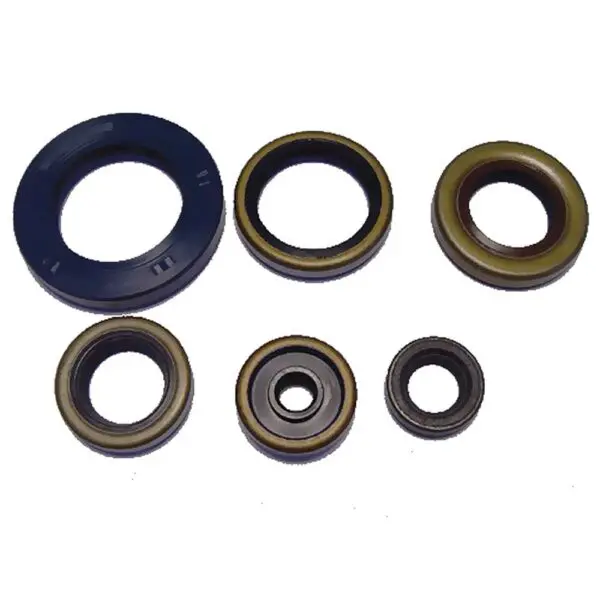 Athena Wellendichtring Satz passend zu KTM SX 65 uvm. 8055681306271 Motorrad