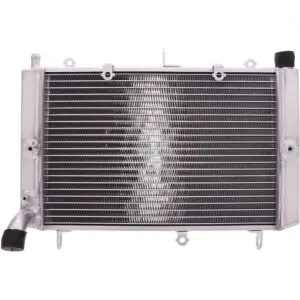 JMP Wasserkühler f. Yam. FZS 1000